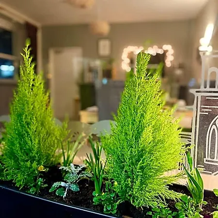 Lacet House Alojamento de Acomodação e Pequeno-almoço